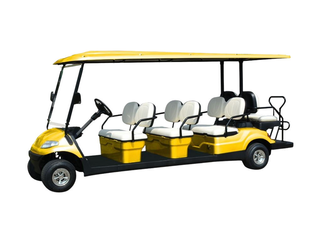 6-Passenger Carts