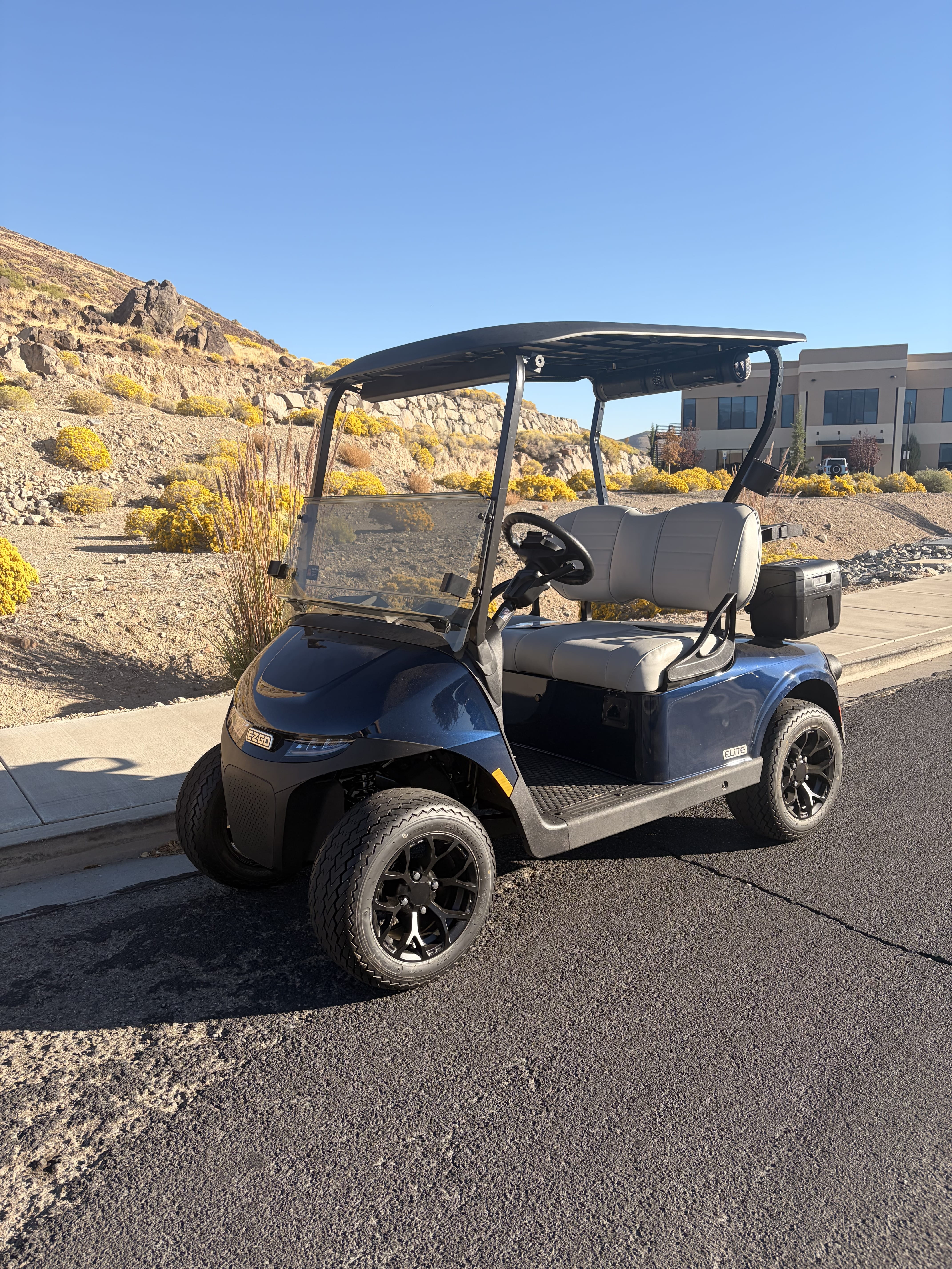 2026 EZGO RXV