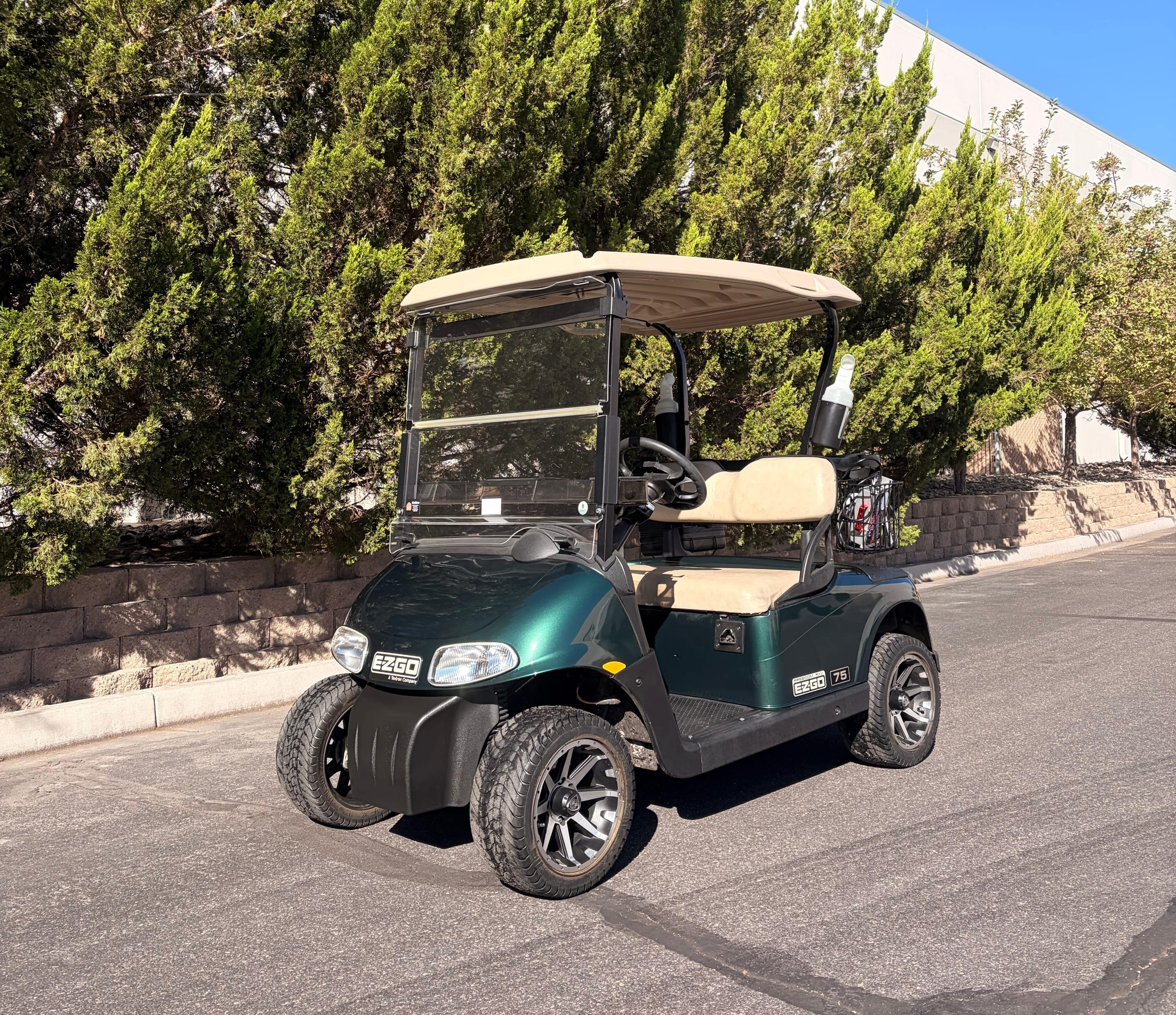 2014 EZGO Not